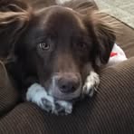 Patty Morrow - Facebook