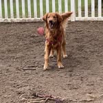 Patty Keebler Morse - @pattykm49 - Instagram