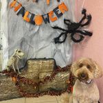 Patty Moss - @patty.moss.7 - Instagram