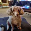 PattyMummert - @pattymummert - TikTok