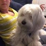 Murray - @patty_murray_3071 - Instagram