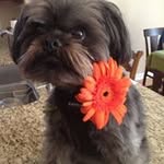 Patty Murray Schubert - @pattymurrayschubert - Instagram