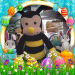 Patty Newcomb Evans - @pattyevans75 - Instagram
