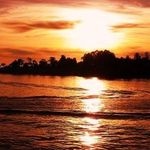 Patty Newman - @panewman1 - Instagram
