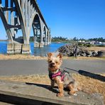 Patty Newman-Shaffer - Facebook
