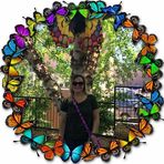 Patty Nowak Fox - Facebook