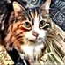 Patricia Oakley - Facebook