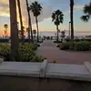 pattyoakley3 - @pattyoakley3 - TikTok