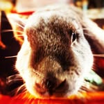 Patty O'Donnell - @pattyszoo14 - Instagram