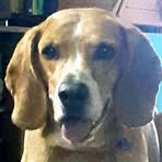 Patty Olson - Facebook
