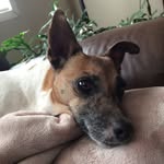 Patti Gillie-Oswald - @gillieoswald - Instagram