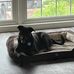 Patty Koll Ott - Facebook