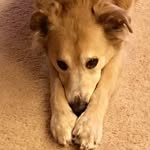 Patty Owen - @bruce.kato.3 - Instagram