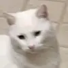 PattyOweno - @pattyoweno - TikTok
