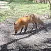 patty parker - @patty.parker03 - TikTok
