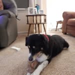Patty Parsons - @plp358 - Instagram