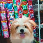 Patty Pat - Facebook