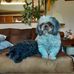 Patti Patterson - Facebook