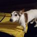 Patty Patterson - Facebook