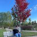 Patty Pedersen - Facebook