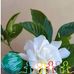 Patty Popp Cruz - Facebook