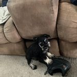 Patricia A Quicksell - @pattyquicksell - Instagram