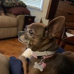 Patti Rainey Jacobson - @patti.rainey.jacobson - Instagram