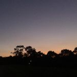 Patty Rice - @pattyrice58 - Instagram