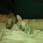 Patty Riley - @kendra7746 - Instagram
