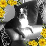 Patty Riley-Albright - @pattyrileyalbright - Instagram