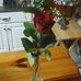 Patti Rollins - Facebook
