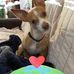 Patty Rollins - Facebook