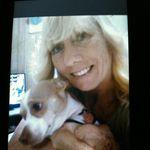 pattyrollins - @pattyrollins2853 - Instagram