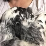Patty Roper Collingwood - @patricia.collingwood - Instagram