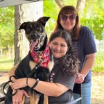 Patty Gilman-Rosenberg - @pattybelle1 - Instagram