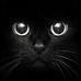 Patty Rosenberg - Facebook