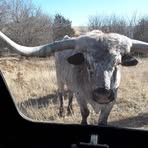Patty Rosenthal - Facebook