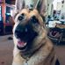 Patty Davis-Roth - Facebook