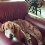 Patty Roth - @patty_roth - Instagram
