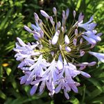 PattyRoth_photography - @pattyroth_photography - Instagram