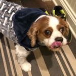 Patty Hulseman Abrams - @thoroughlymodernpatty - Instagram