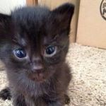 Patty Yarbrough - @yarbroughpatty - Instagram