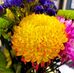 Patti Rouse - Facebook