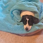 Patti Roush - @pattir42 - Instagram