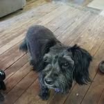Patty Roush - @roush_patty - Instagram