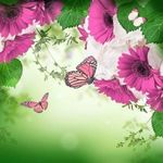 Pattie Rowley - @pattie.rowley - Instagram