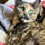 Patty Royer - @proyer66 - Instagram