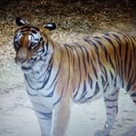 Patty McLaughlin Rubley - @pattyrubley - Instagram