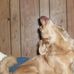 Patti Rudd - Facebook