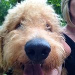 Patti Ruff - @zzruff - Instagram